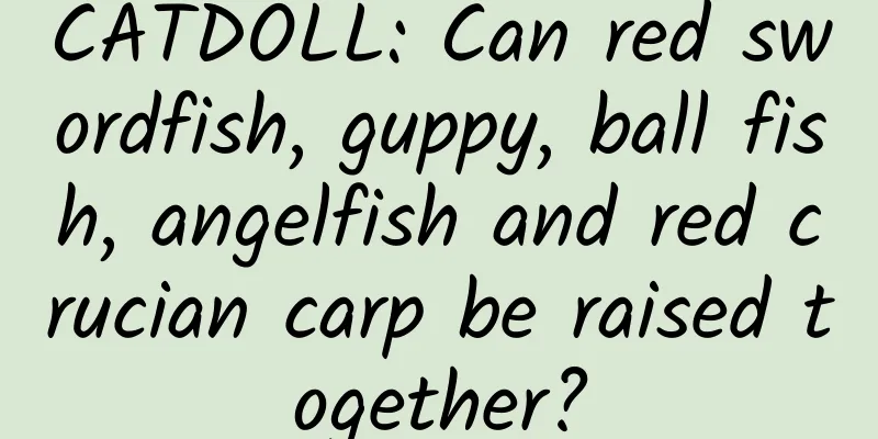 CATDOLL: Can red swordfish, guppy, ball fish, angelfish and red crucian carp be raised together?