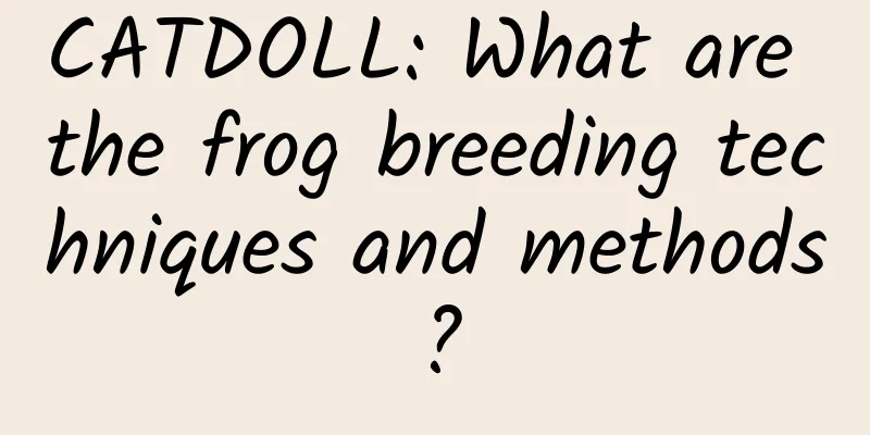 CATDOLL: What are the frog breeding techniques and methods?