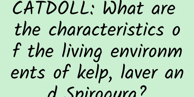 CATDOLL: What are the characteristics of the living environments of kelp, laver and Spirogyra?