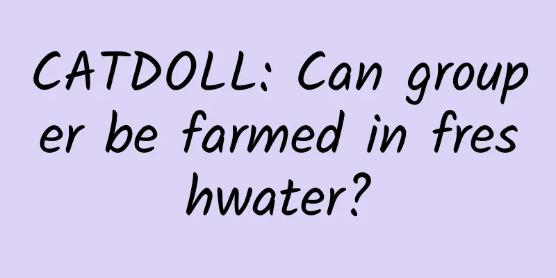 CATDOLL: Can grouper be farmed in freshwater?