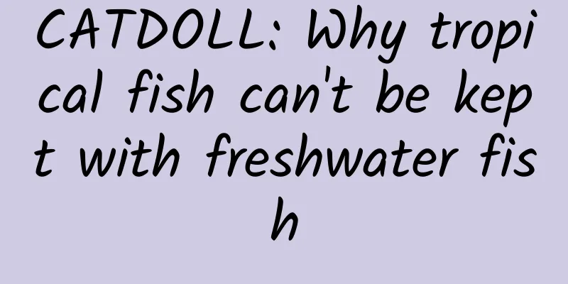CATDOLL: Why tropical fish can't be kept with freshwater fish