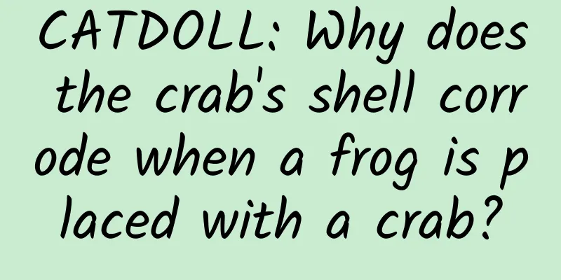 CATDOLL: Why does the crab's shell corrode when a frog is placed with a crab?