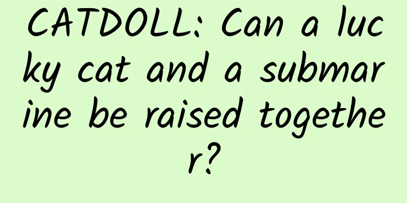 CATDOLL: Can a lucky cat and a submarine be raised together?