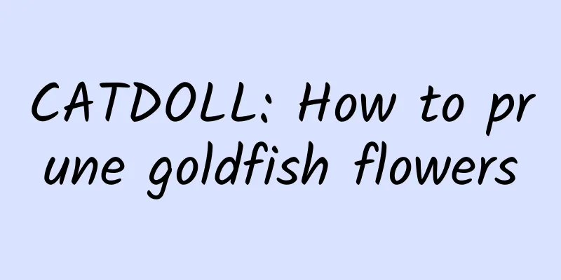 CATDOLL: How to prune goldfish flowers