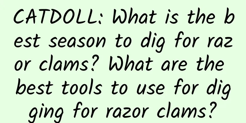 CATDOLL: What is the best season to dig for razor clams? What are the best tools to use for digging for razor clams?