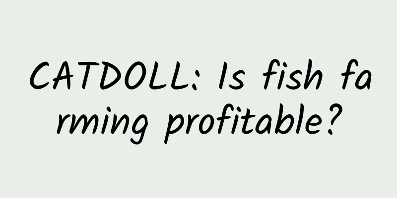 CATDOLL: Is fish farming profitable?