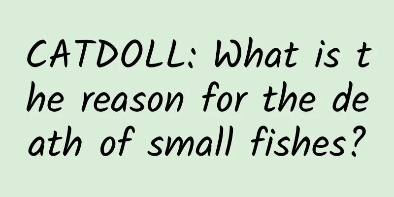 CATDOLL: What is the reason for the death of small fishes?