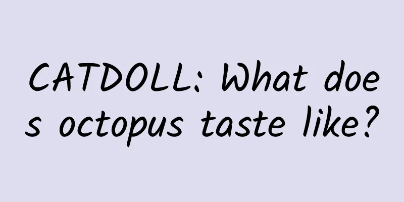 CATDOLL: What does octopus taste like?