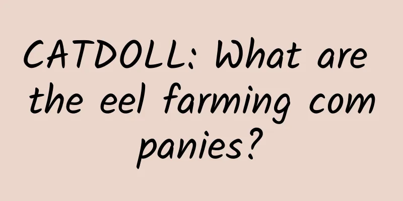 CATDOLL: What are the eel farming companies?