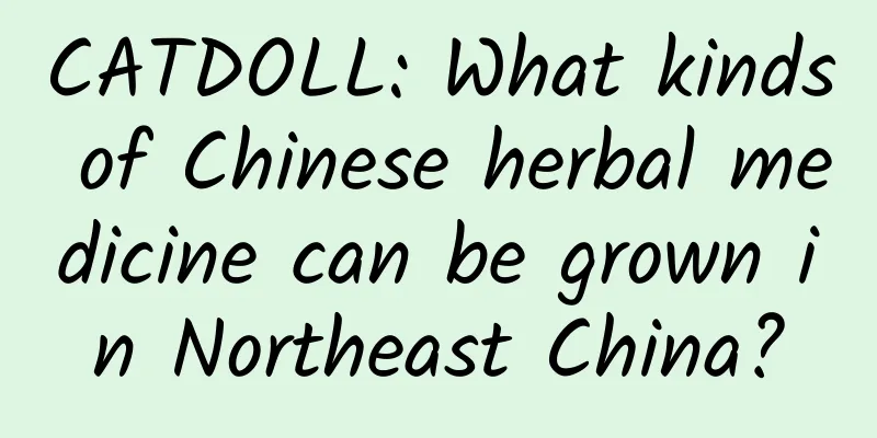 CATDOLL: What kinds of Chinese herbal medicine can be grown in Northeast China?