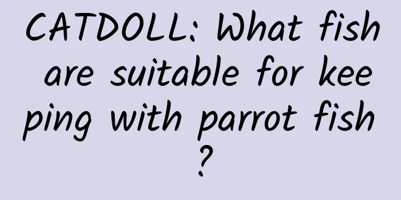 CATDOLL: What fish are suitable for keeping with parrot fish?