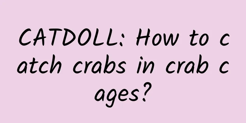 CATDOLL: How to catch crabs in crab cages?