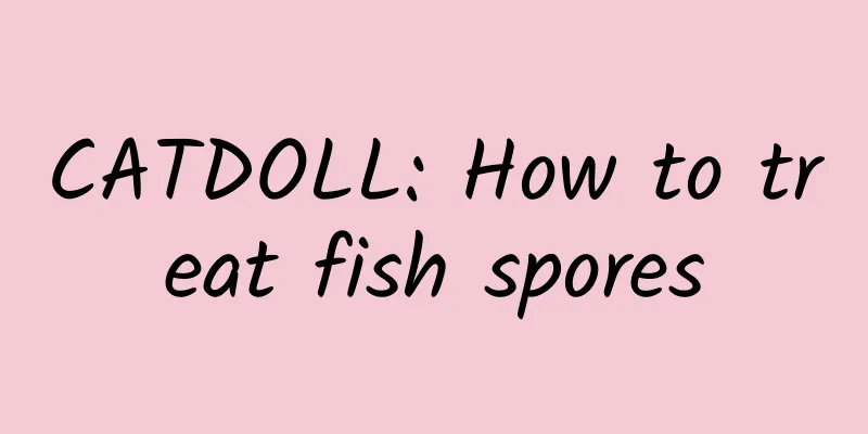 CATDOLL: How to treat fish spores