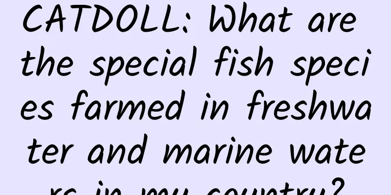 CATDOLL: What are the special fish species farmed in freshwater and marine waters in my country?