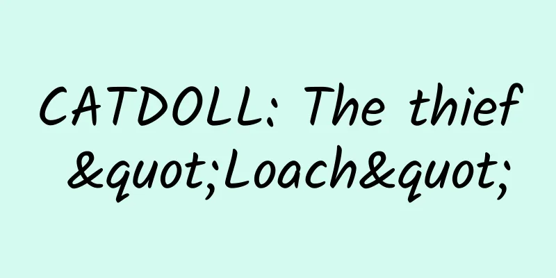 CATDOLL: The thief "Loach"