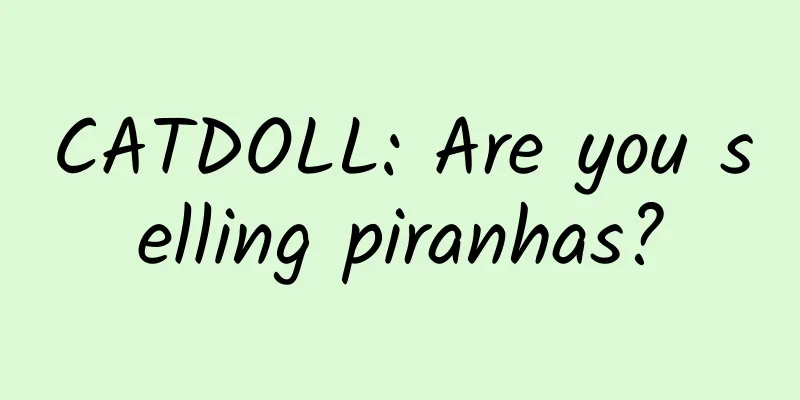 CATDOLL: Are you selling piranhas?