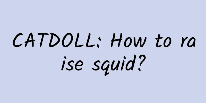 CATDOLL: How to raise squid?