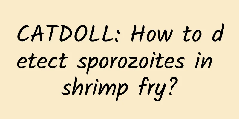 CATDOLL: How to detect sporozoites in shrimp fry?