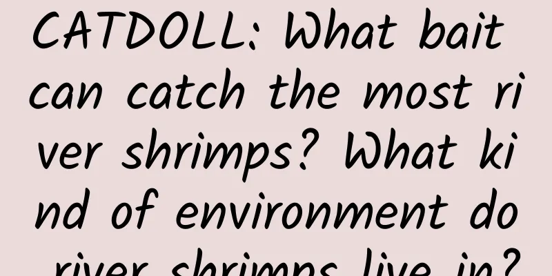 CATDOLL: What bait can catch the most river shrimps? What kind of environment do river shrimps live in?