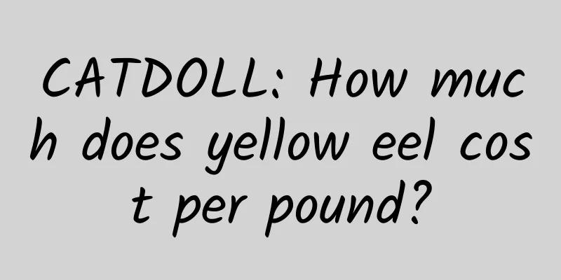 CATDOLL: How much does yellow eel cost per pound?
