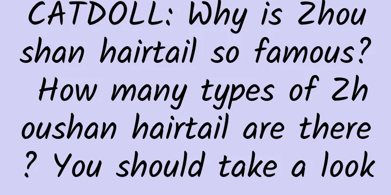 CATDOLL: Why is Zhoushan hairtail so famous? How many types of Zhoushan hairtail are there? You should take a look