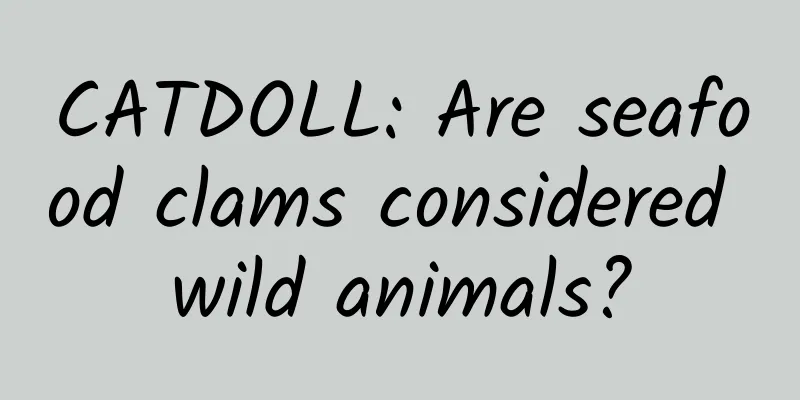 CATDOLL: Are seafood clams considered wild animals?