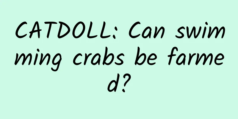 CATDOLL: Can swimming crabs be farmed?
