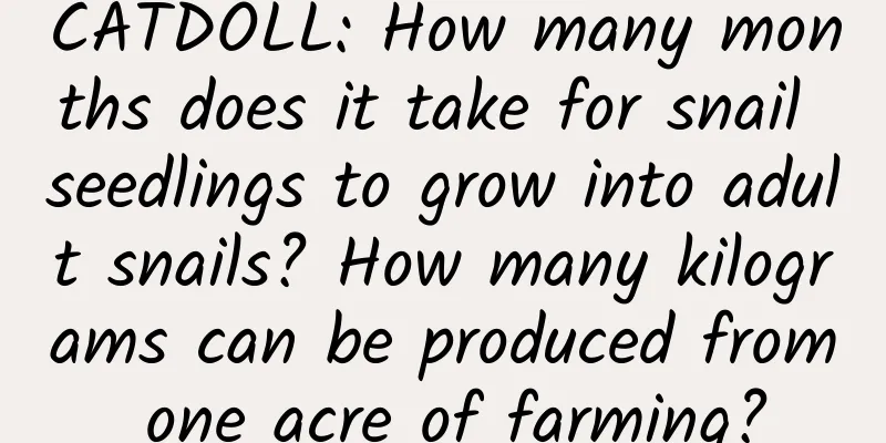 CATDOLL: How many months does it take for snail seedlings to grow into adult snails? How many kilograms can be produced from one acre of farming?