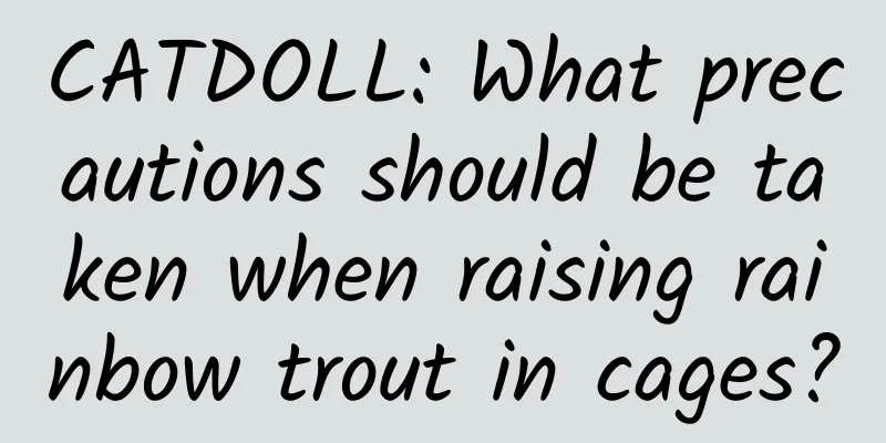 CATDOLL: What precautions should be taken when raising rainbow trout in cages?