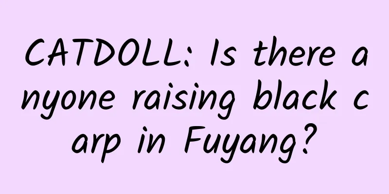 CATDOLL: Is there anyone raising black carp in Fuyang?