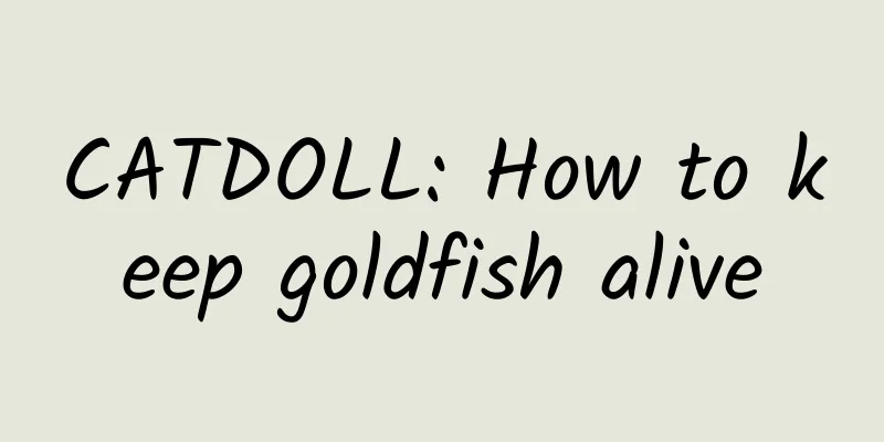 CATDOLL: How to keep goldfish alive