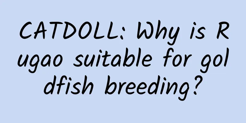 CATDOLL: Why is Rugao suitable for goldfish breeding?