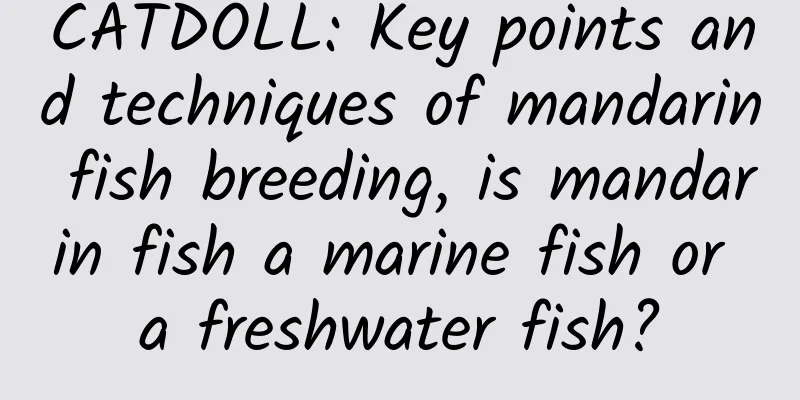 CATDOLL: Key points and techniques of mandarin fish breeding, is mandarin fish a marine fish or a freshwater fish?