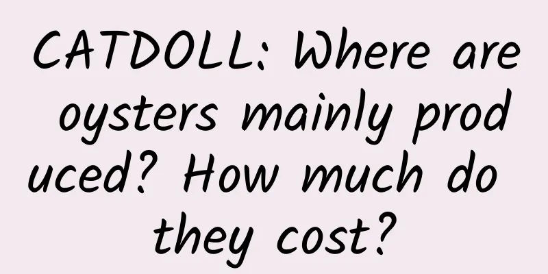CATDOLL: Where are oysters mainly produced? How much do they cost?