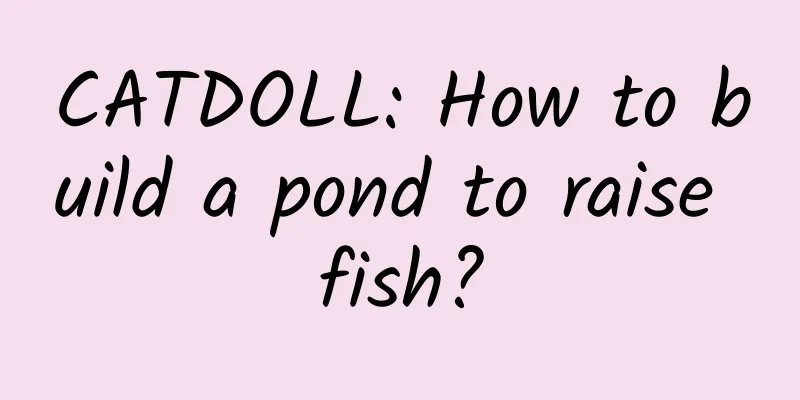 CATDOLL: How to build a pond to raise fish?