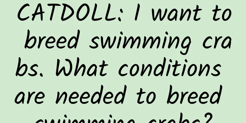 CATDOLL: I want to breed swimming crabs. What conditions are needed to breed swimming crabs?