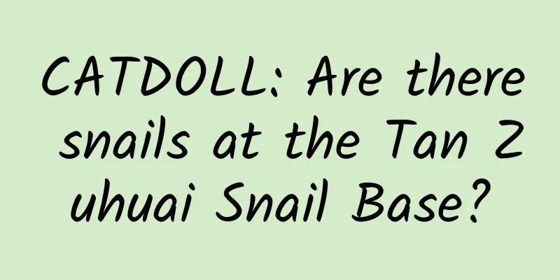 CATDOLL: Are there snails at the Tan Zuhuai Snail Base?