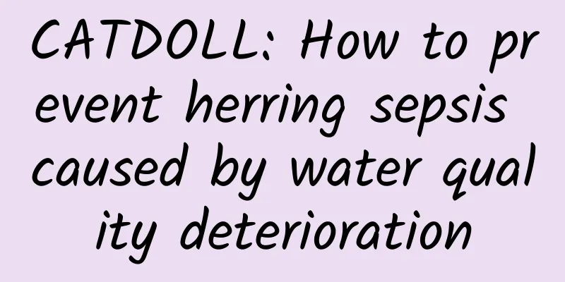 CATDOLL: How to prevent herring sepsis caused by water quality deterioration