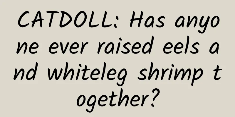 CATDOLL: Has anyone ever raised eels and whiteleg shrimp together?