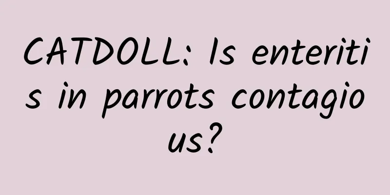 CATDOLL: Is enteritis in parrots contagious?