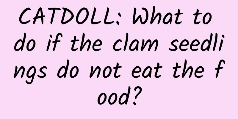 CATDOLL: What to do if the clam seedlings do not eat the food?