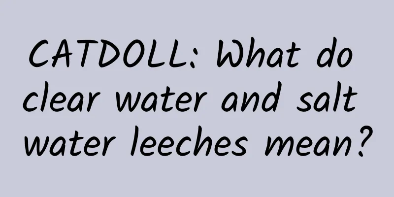 CATDOLL: What do clear water and salt water leeches mean?
