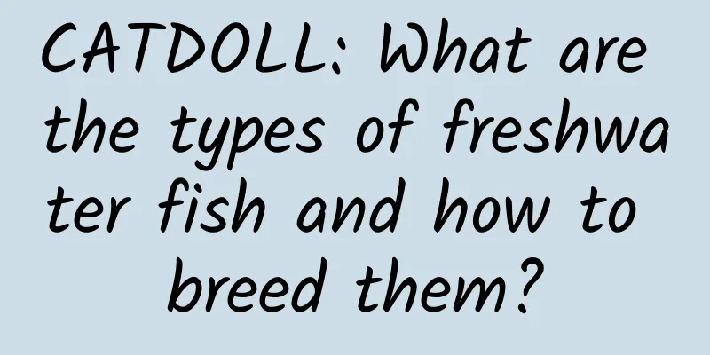 CATDOLL: What are the types of freshwater fish and how to breed them?