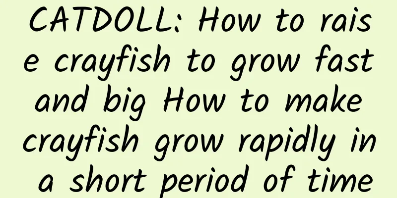 CATDOLL: How to raise crayfish to grow fast and big How to make crayfish grow rapidly in a short period of time