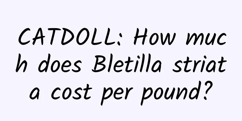 CATDOLL: How much does Bletilla striata cost per pound?
