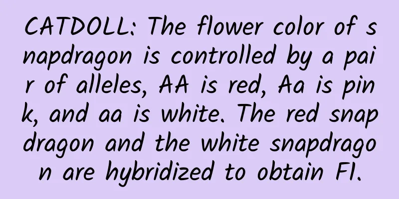 CATDOLL: The flower color of snapdragon is controlled by a pair of alleles, AA is red, Aa is pink, and aa is white. The red snapdragon and the white snapdragon are hybridized to obtain F1.