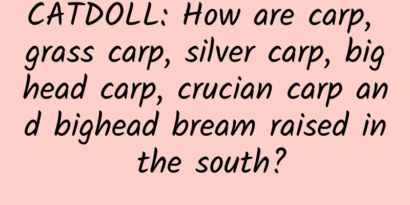 CATDOLL: How are carp, grass carp, silver carp, bighead carp, crucian carp and bighead bream raised in the south?