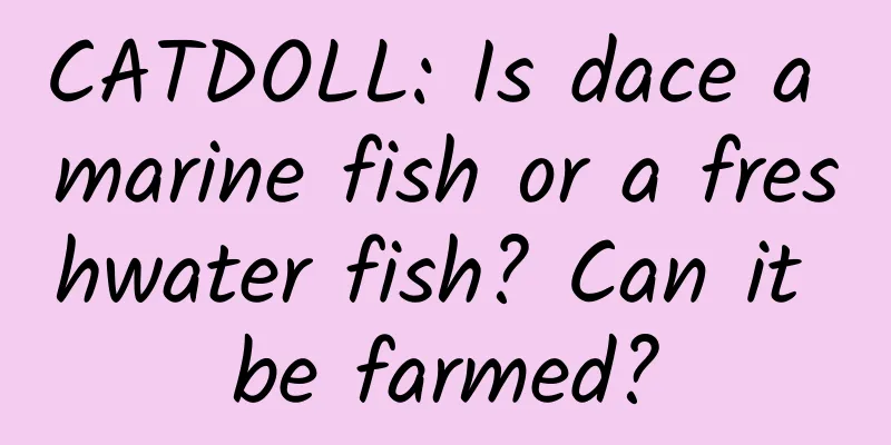 CATDOLL: Is dace a marine fish or a freshwater fish? Can it be farmed?