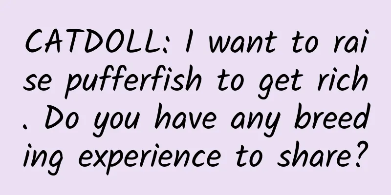 CATDOLL: I want to raise pufferfish to get rich. Do you have any breeding experience to share?