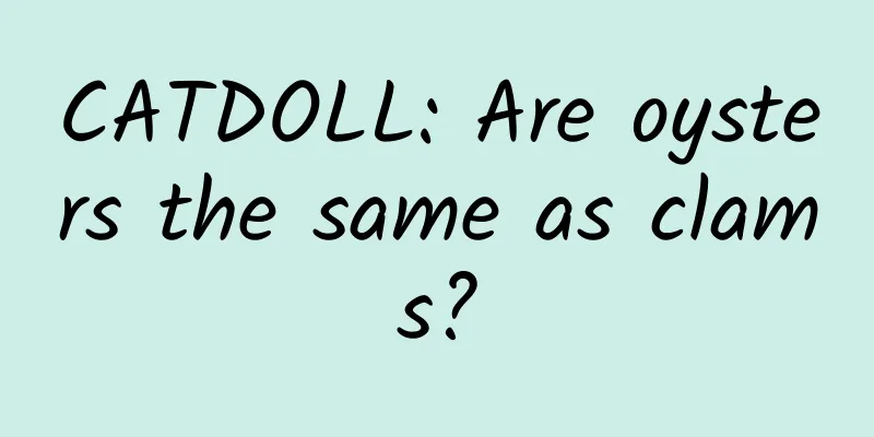 CATDOLL: Are oysters the same as clams?